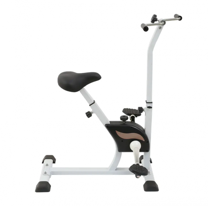 RISE OF EXERCISE BIKE MANUFACTURERS