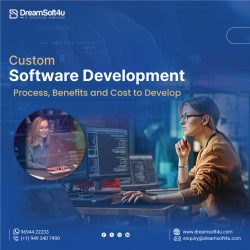 Custom Software Development: Process, Benefits, and Costs