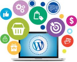 Select The Custom WordPress Development Services for Business