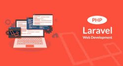 Approach The Laravel Development Company in Delhi for Custom Solutions