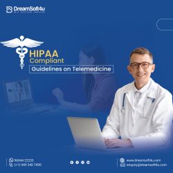 HIPAA Compliant Guidelines on Telemedicine