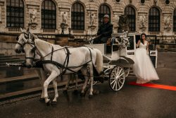 Exklusive Wedding Planung in Wien: Professionelle Hochzeitsplanungen für Ihre Traumhochzeit in d ...