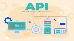 Api Development Company