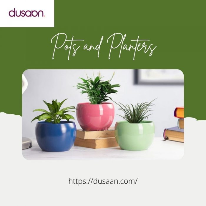 Buy Pots and Planters Online – Stylish Plant Pots for Every Space | Dusaan