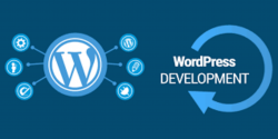 Hire Dedicated WordPress Developer for for Custom Websites