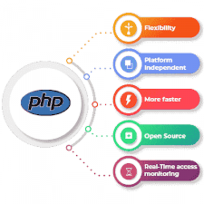 Hire Dedicated PHP Developer in India for Dynamic Web Solutions