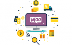 Hire WooCommerce Developers for Online Stores