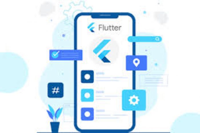 Hire Flutter App Developers for Best Performance