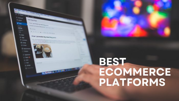 8 Reason On Why WooCommerce Is The Best Ecommerce Platform | SFWPExperts