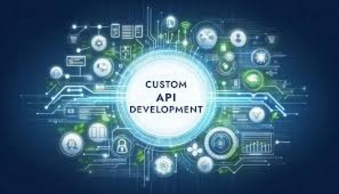 Invoidea Offers API Development Services in India