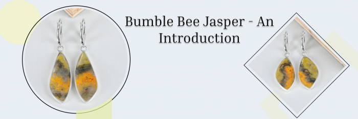 How we can use the Bumble Bee Jasper History