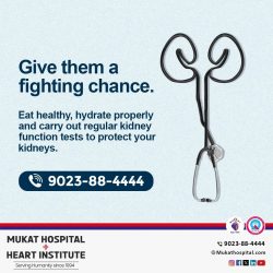 Kidney Health | Kidney Specialist | Kidney Treatment Centre