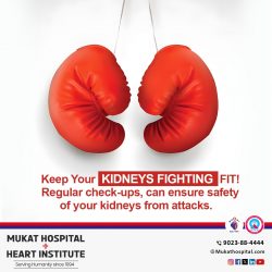 Keep Your KIDNEYS FIGHTING Fit