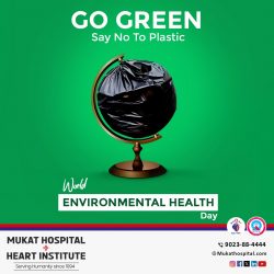 Healthy Environments, Healthy Lives | World Environmental Health Day