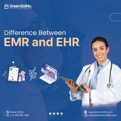 What are the Difference Between EHR and EMR?