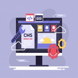 Professional WordPress Development Company for Custom Websites