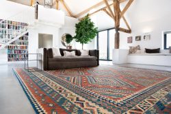 Transform Your Home with Designs from the Top Rug Store Near Me