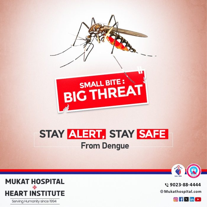 Dengue | Stay Safe, Stay Aware | Mukat Hospital