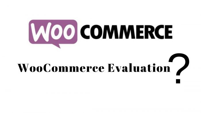 WooCommerce Evaluation | SFWPExperts