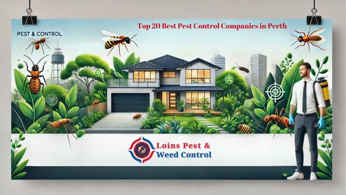 Best Pest Control Companies in Perth