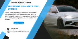 Choose the Right Headlights for Foggy Conditions