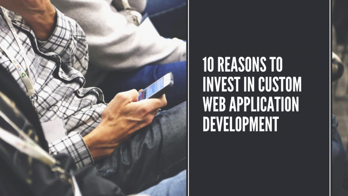 10 Reasons to Invest in Custom Web Application Development