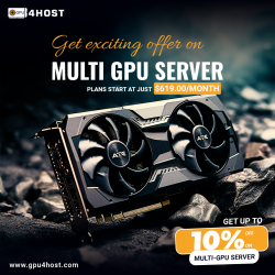 Multi GPU Server