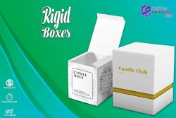 Rigid Boxes