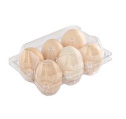 Egg Tray 6 Cells(2*3)