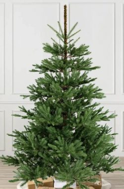 Comparative Advantages of China Artificial Christmas Tree Over Natural Ones