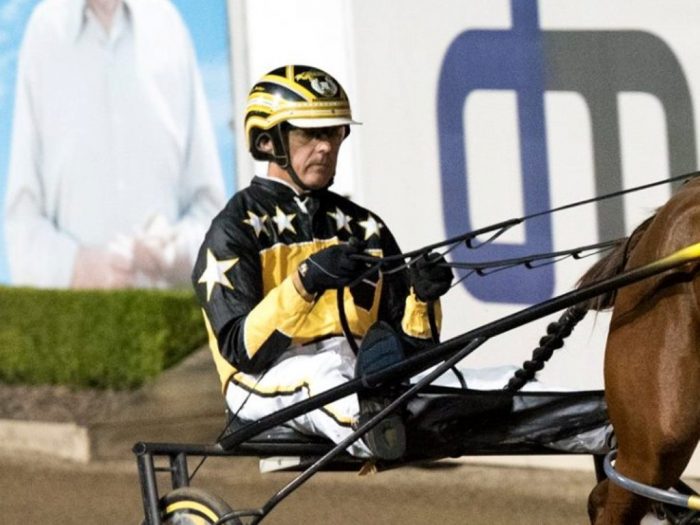 standardbred harness racing in brisbane