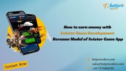 How to earn money with Aviator game Development: Revenue model of Aviator Game App