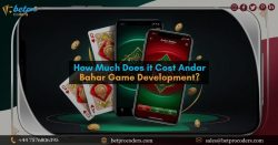 Andar Bahar Game Development Cost