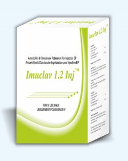 The Benefits of Using Imuclav 1.2 gm Injection in Treating Bacterial Infections