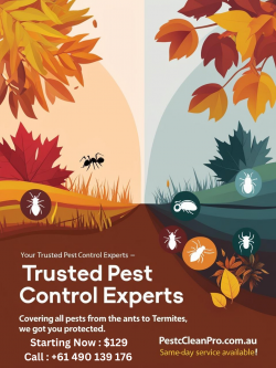 Pest Control Services Ipswich