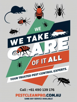 Pest Control Services in Moreton Bay