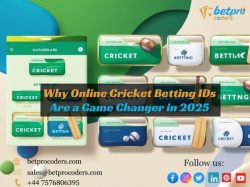 Why Online Cricket Betting IDs Are a Game Changer in 2025