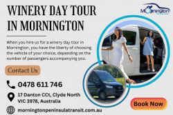 Experience The Best Winery Day Tours in Mornington From Expert Providers