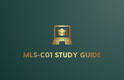 Excel with Ease Using DumpsBoss MLS-C01 Study Guide