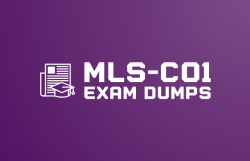 Efficient Exam Prep Starts with MLS-C01 Dumps by DumpsBoss