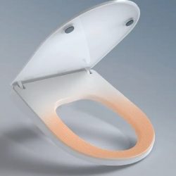 Dual Nozzle Heated Bidet Toilet Seat