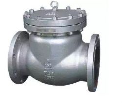 Pressure Seal Swing Check Valve