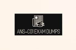 DumpsBoss Provides Expert Guidance with Its Detailed ANS-C01 Exam Dumps