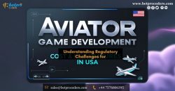 Aviator Game App Development Cost