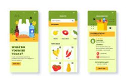 Explore Grocery App Development Company for Your Next Venture