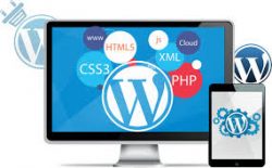 Hire WordPress Developer in India for Better Performance