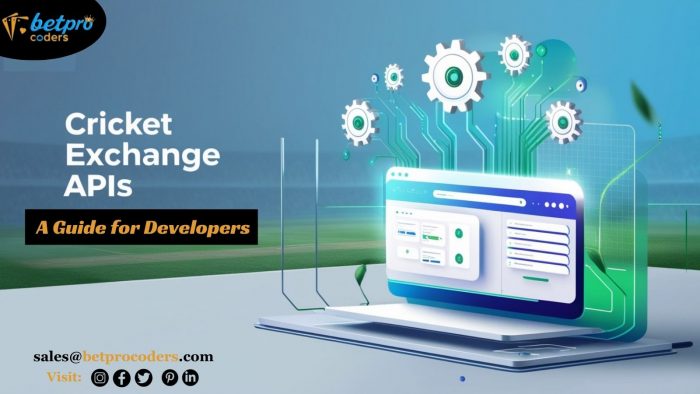 Integrating Cricket Exchange APIs A Guide for Developers