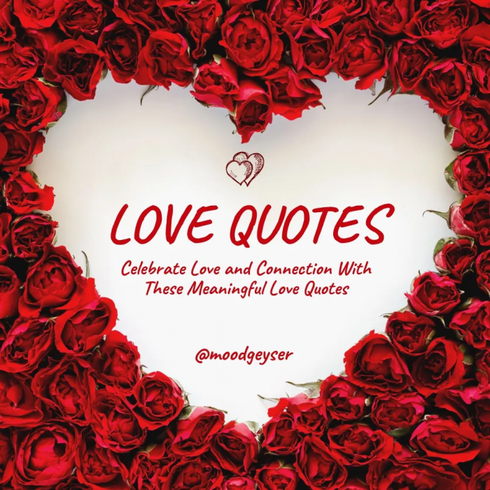 Heartfelt Love Quotes to Celebrate Every Moment of Romance