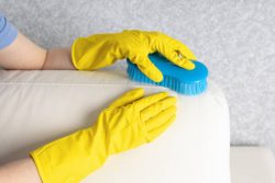 Restore Your Furniture with Professional Upholstery Cleaning!