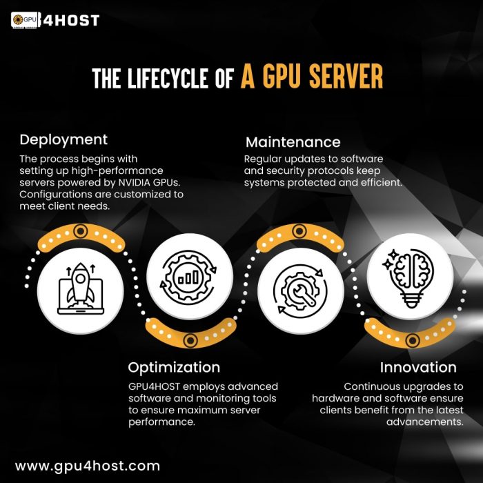 The Journey of a GPU Server: From Deployment to Innovation